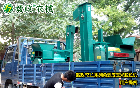 陜西毅政農(nóng)業(yè)機(jī)械有限公司,毅政,免剝皮,玉米脫粒機(jī),發(fā)貨照片